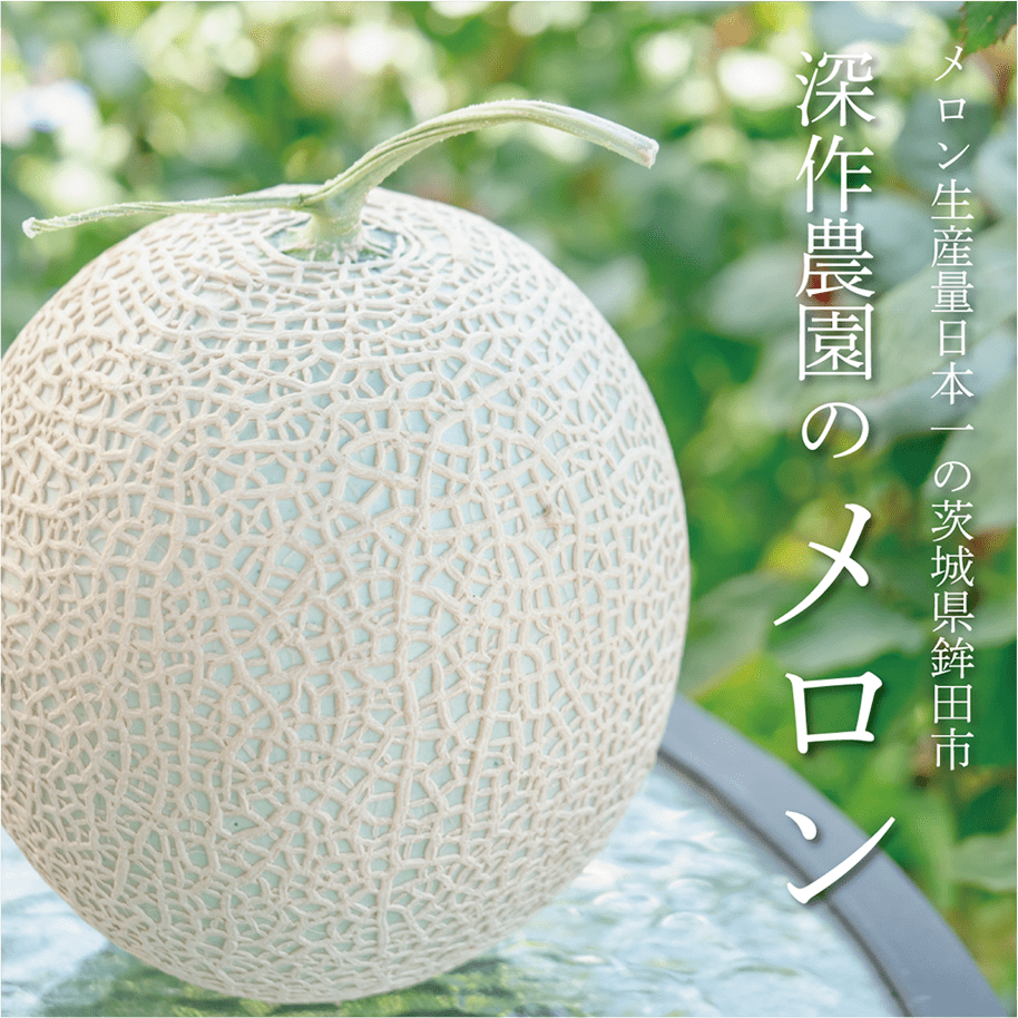 深作農園のメロン